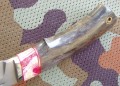 putnikS390stab_mamut_kosiczka7.JPG