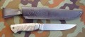 PanteraM390stabklon_mamut1.JPG