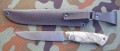 PanteraM390stabklon_mamut2.JPG