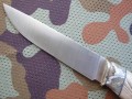 PanteraM390stabklon_mamut3.JPG