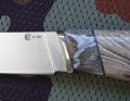 PanteraM390stabklon_mamut4.JPG