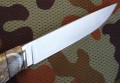 PanteraM390stabklon_mamut5.JPG