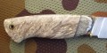 PanteraM390stabklon_mamut6.JPG