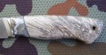 PanteraM390stabklon_mamut7.JPG