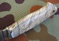 PanteraM390stabklon_mamut8.JPG