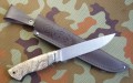 PanteraM390stabklon_mamut11.JPG