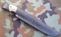 PanteraM390stabklon_mamut12.JPG