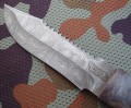 tajga_dmst_stab2_pozl3.JPG