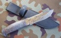 tajga_dmst_stab2_pozl9.JPG
