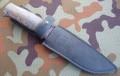 tajga_dmst_stab2_pozl10.JPG