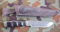 wilczyca_bulat1.JPG