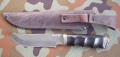wilczyca_bulat2.JPG