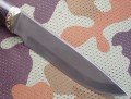wilczyca_bulat4.JPG