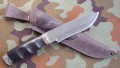 wilczyca_bulat8.JPG