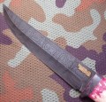 ataman_dmst_stab_pozl3.JPG
