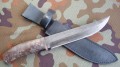 ataman_dmst_stab10.JPG