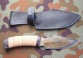 nord_dmst_kora_pozl1.JPG