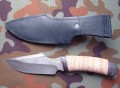 nord_dmst_kora_pozl2.JPG
