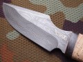 nord_dmst_kora_pozl3.JPG
