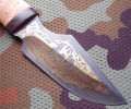nord_dmst_kora_pozl5.JPG