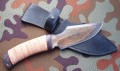 nord_dmst_kora_pozl8.JPG
