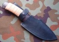 nord_dmst_kora_pozl9.JPG