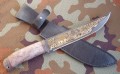 ataman_dmsk_stab_brown_pozl11.JPG