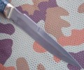 jesiotr2_stab4.JPG