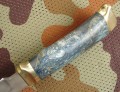 jesiotr2_stab7.JPG