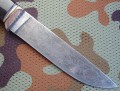wilk_dmst_mozaik4.JPG