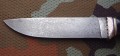 wilk_dmst_mozaik6.JPG