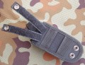 raptor_gris7.JPG