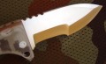 raptor_camo4.JPG