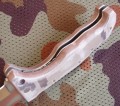 raptor_camo5.JPG