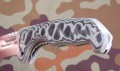 raptorXL_gris7.JPG