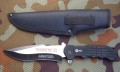 predator2.JPG