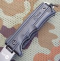 tomahawk6.JPG