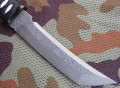 tokisu_dmst32623_4.JPG