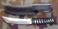 tokisu32470_2.JPG