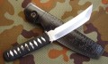 tokisu32470_9.JPG