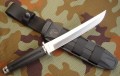 takeda9.JPG