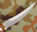 tokisu_dmst32624_4.JPG