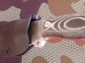 chacal_neck9.JPG