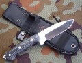 celtibero9.JPG