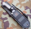 celtibero11.JPG