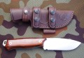 chacal_bush_cocobolo1.JPG