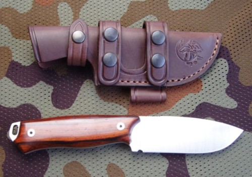 chacal_bush_cocobolo1.JPG