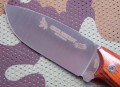 chacal_bush_cocobolo3.JPG