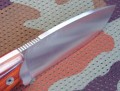 chacal_bush_cocobolo4.JPG
