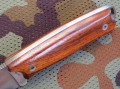 chacal_bush_cocobolo7.JPG